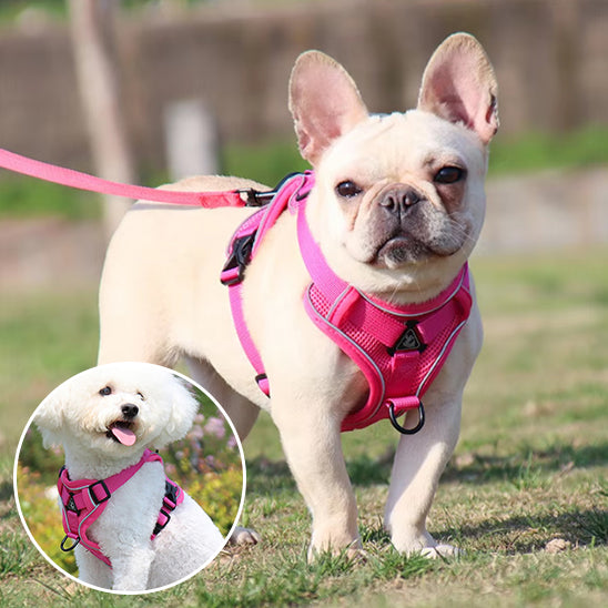 harnais chien rose