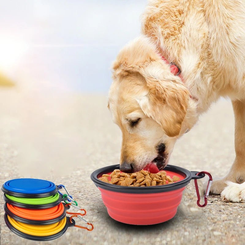 350ml Collapsible Dog Pet Folding Silicone Bowl Outdoor Travel Portable Puppy Food Container Feeder Dish Bowl Pet supplies - Pitou Poil