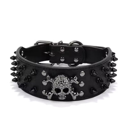 Collier Chien | Résistant et Confortable