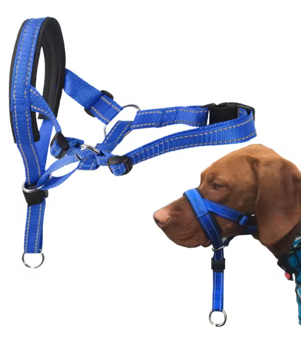 Muselière chien | Confort Respiration