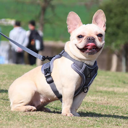 harnais chien noir parc