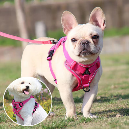 harnais chien rose