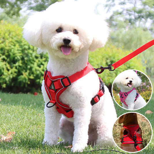 harnais chien rouge