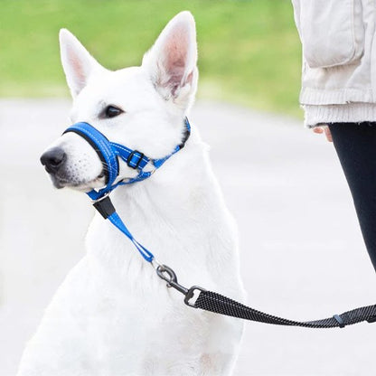 Muselière chien​ bleu ajustable