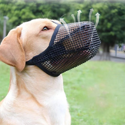 Muselière chien dans le parc