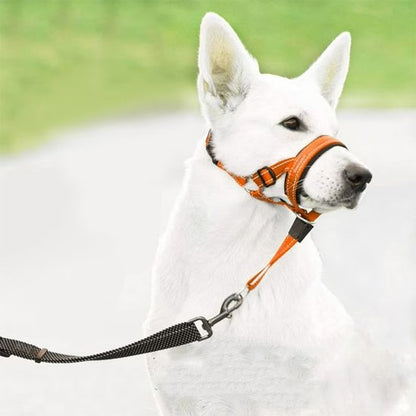 Muselière chien​ orange