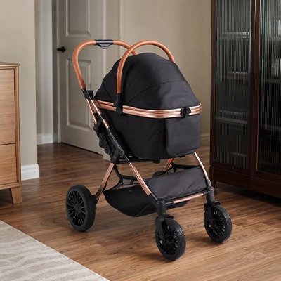 Poussette pour Chien dans l'appartement