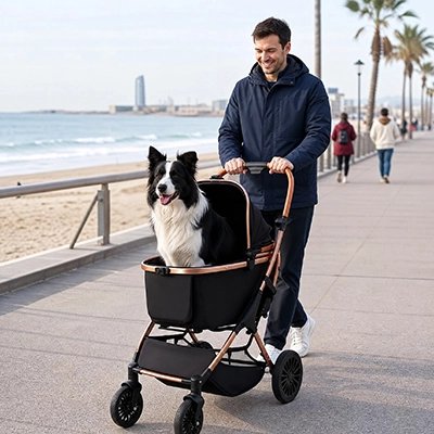 Poussette pour Chien en hiver