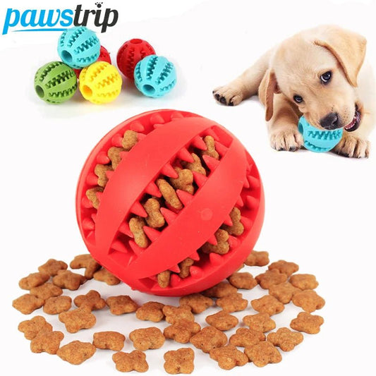 Soft Pet Dog Toys Toy Funny Interactive Elasticity Ball Dog Chew Toy For Dog Tooth Clean Ball Food Extra - tough Rubber Ball Dog - Pitou Poil