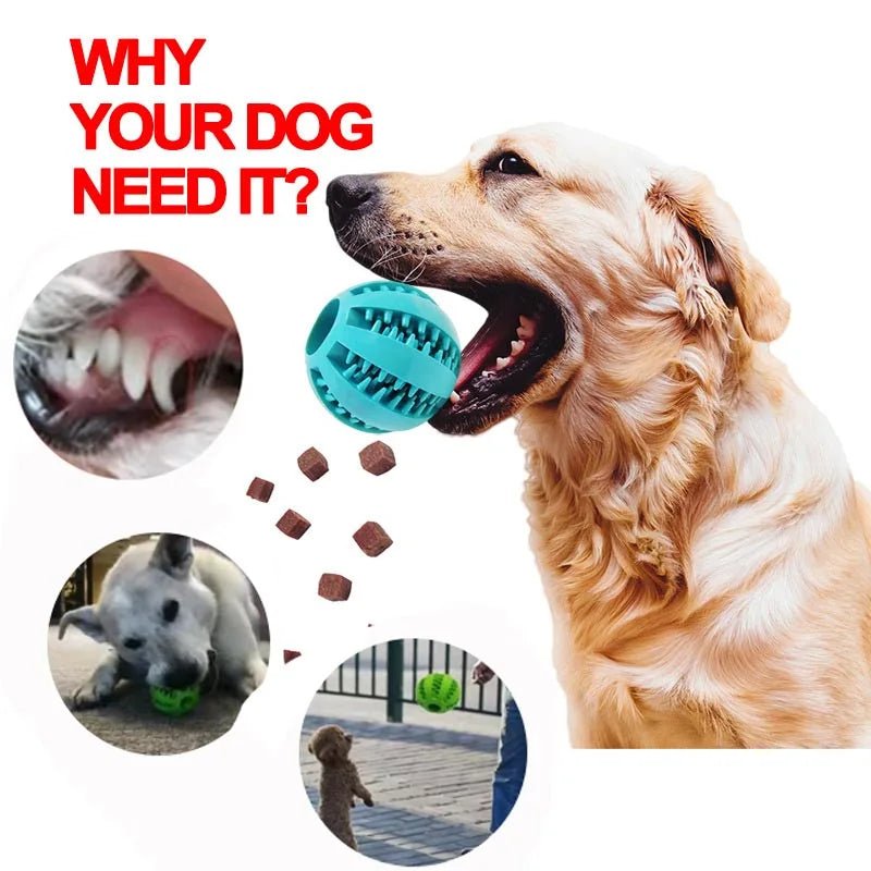 Soft Pet Dog Toys Toy Funny Interactive Elasticity Ball Dog Chew Toy For Dog Tooth Clean Ball Food Extra - tough Rubber Ball Dog - Pitou Poil